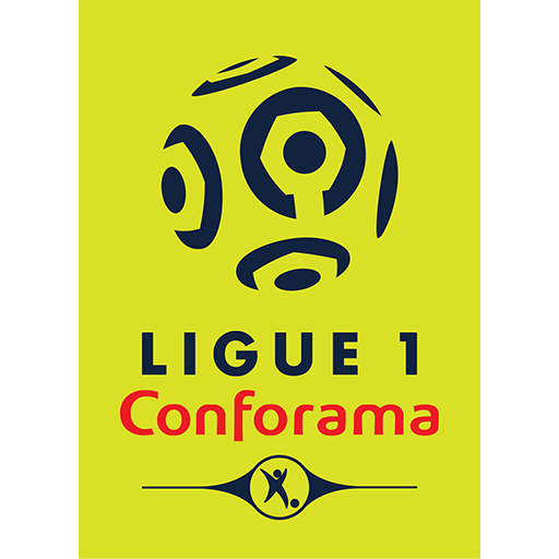 French Ligue 1